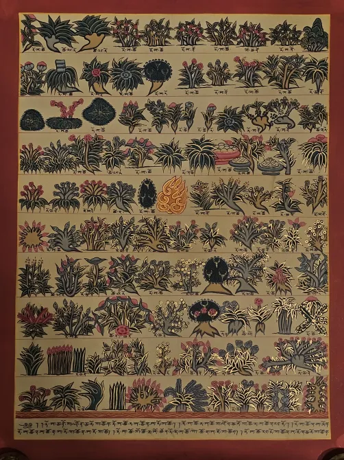 Medicine Plant Thangka